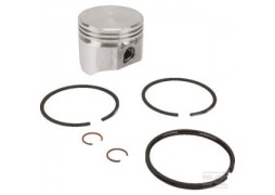 Kit Piston complet standard Briggs & Stratton 499960